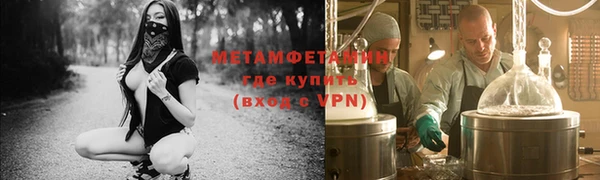 прущие грибы Рославль