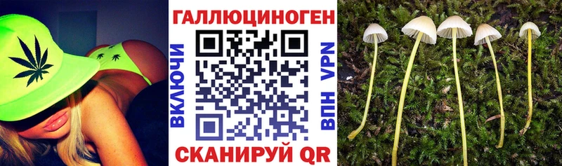 Галлюциногенные грибы Magic Shrooms  Голицыно 